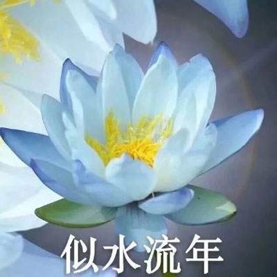 中国驻泗水总领馆：对张志杰的不幸离世表示沉痛哀悼